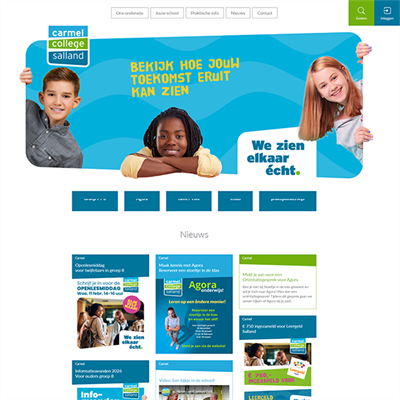 Carmel College Salland: website